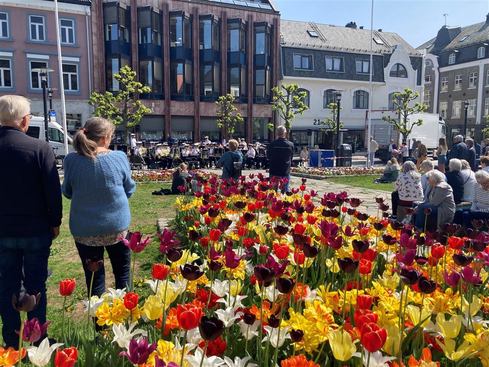 Park med blomstrende tulipaner, folk, orkester - Klikk for stort bilde
