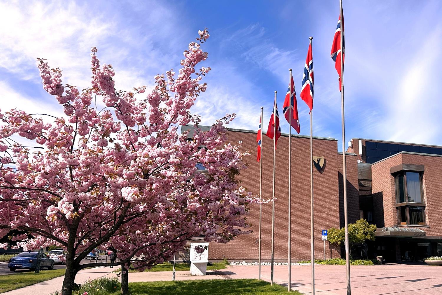 Blomstring og flagging utenfor rådhuset