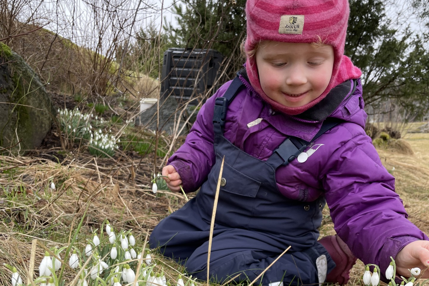 Jente som ser på snøklokker.