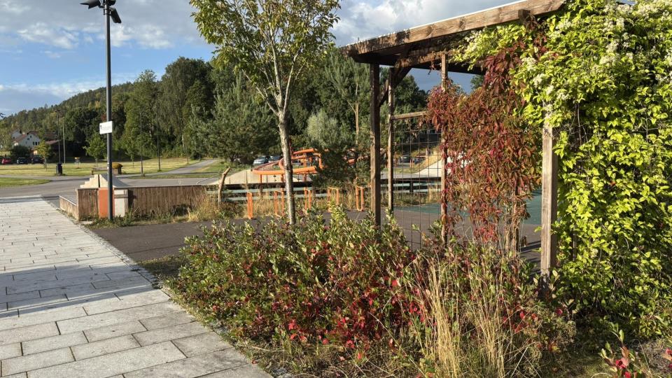 Lenke til artikkel: Andebuparken