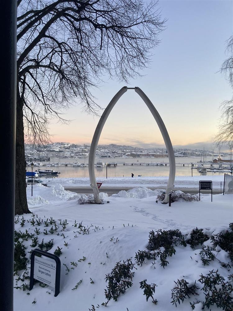 Portal av hvalkjeve, snø, utsikt til fjord - Klikk for stort bilde
