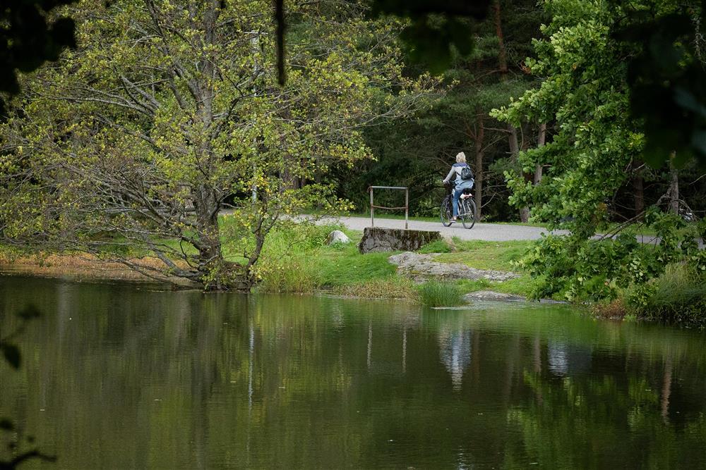 Vannspeil i forgrunnen, bak er det syklist mellom trærne - Klikk for stort bilde