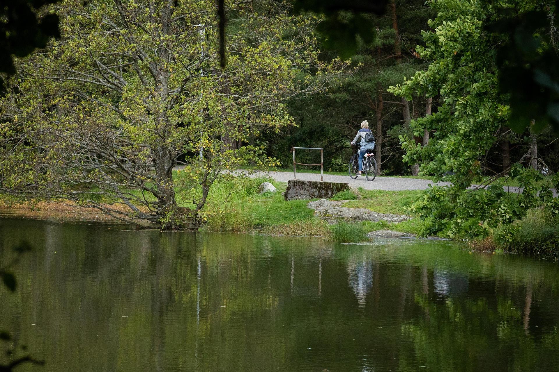 Vannspeil i forgrunnen, bak er det syklist mellom trærne