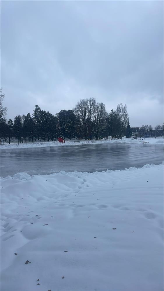 Skøyteis. - Klikk for stort bilde