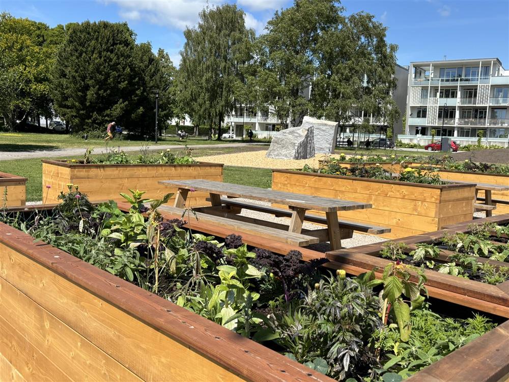 benker, nyttevekster, gras, trær - Klikk for stort bilde