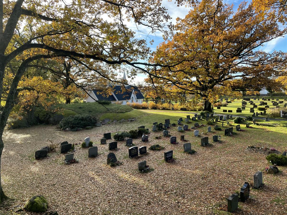 Gravfelt med gravminner på Orelund gravlund. Høstløv på trær og bakken - Klikk for stort bilde