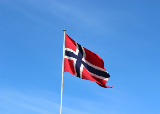 Bikde av det Norske flagget - Klikk for stort bilde