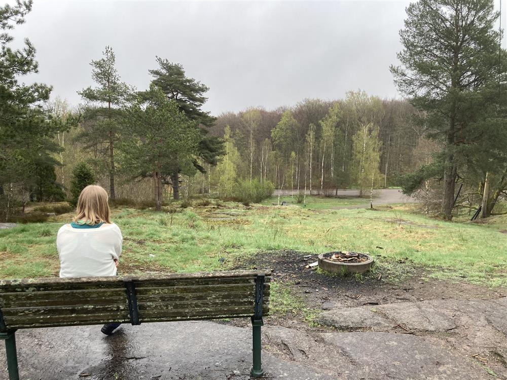 Person på benkk, skog - Klikk for stort bilde