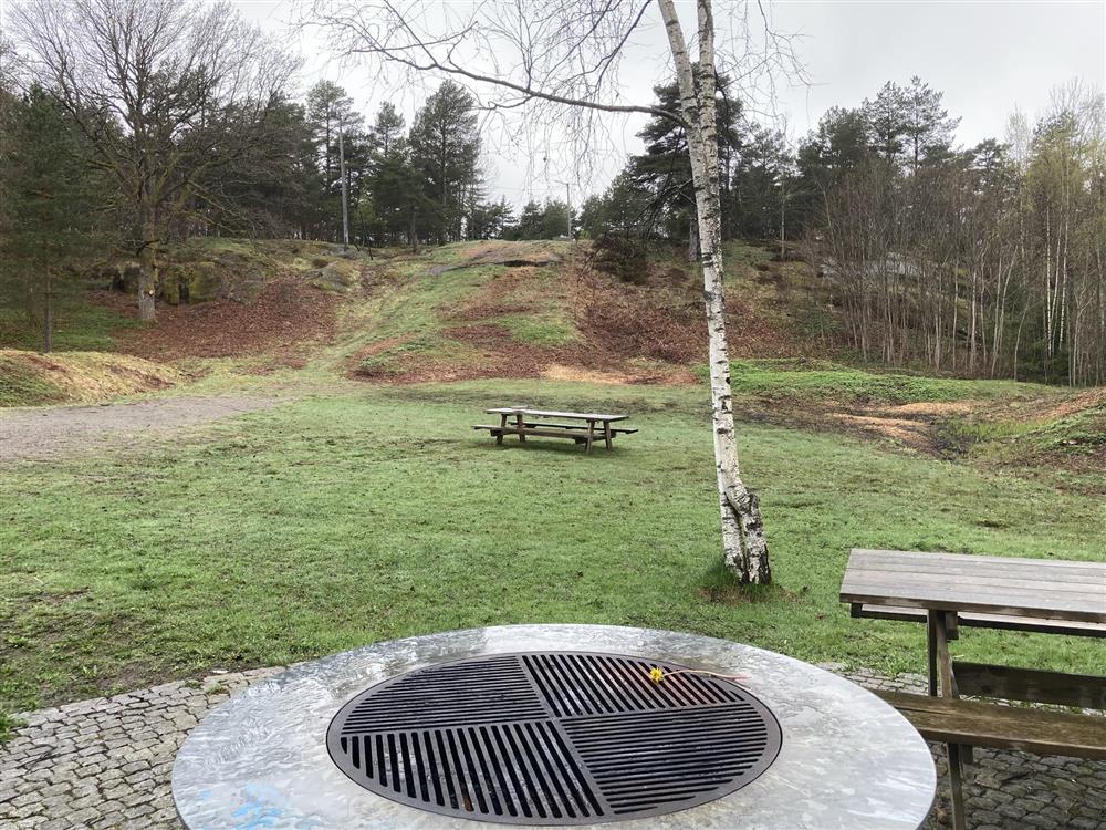 Grill, benk, bakke skog - Klikk for stort bilde