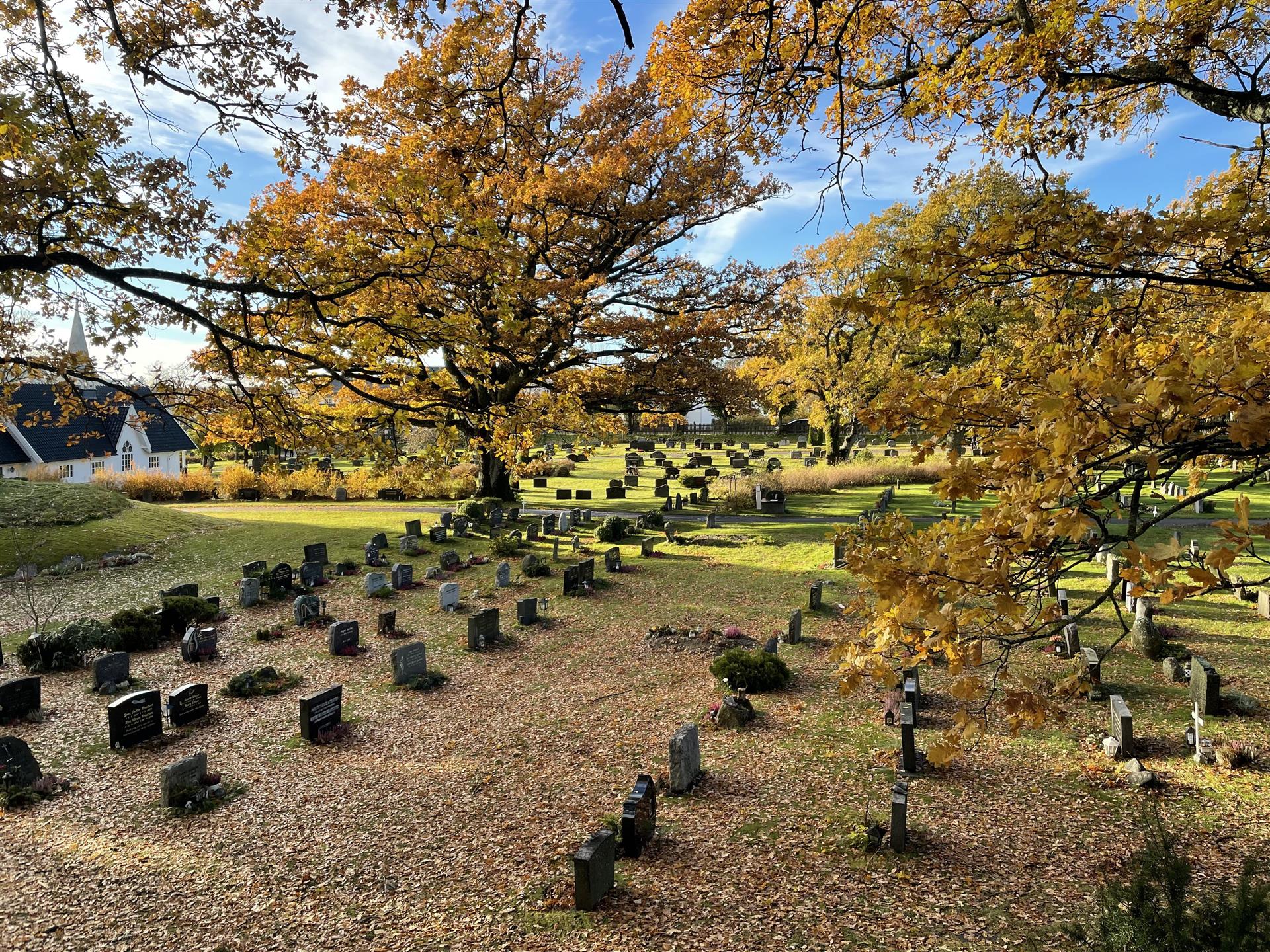 Gravlund med gravminner om høsten