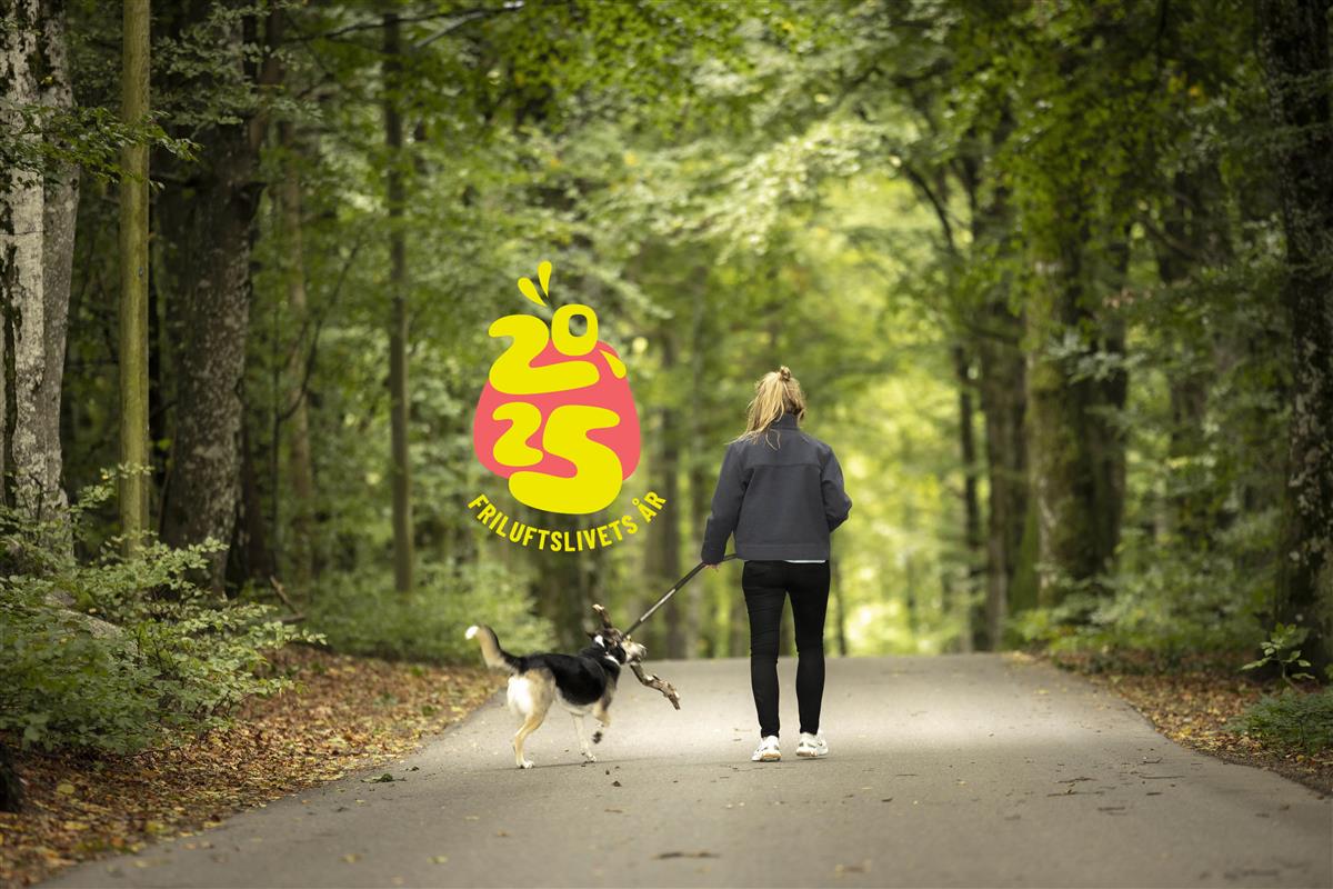 Kvinne som går tur med hund på en vei i en skog. - Klikk for stort bilde