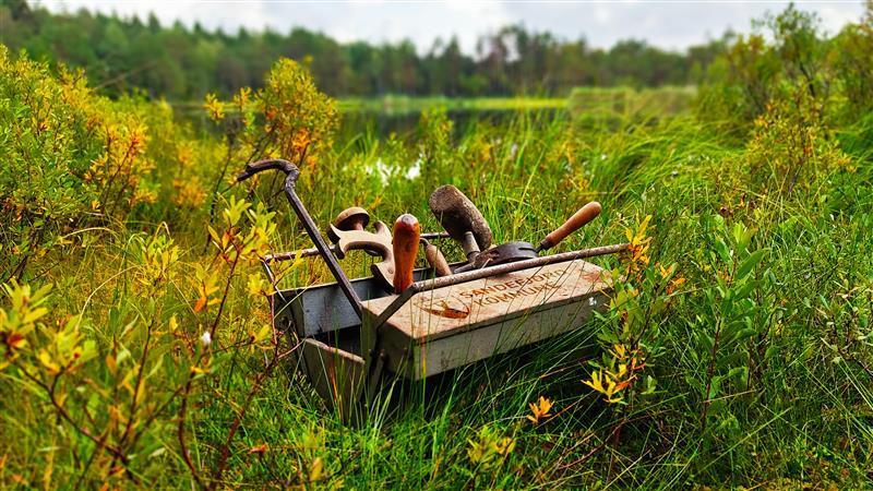 Kommunedelplan for natur