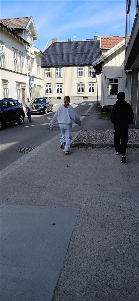 Klikk for stort bilde