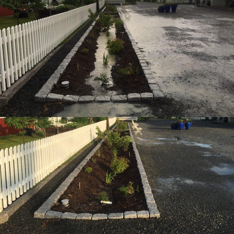 Regnbedd vannavrenning - Klikk for stort bilde